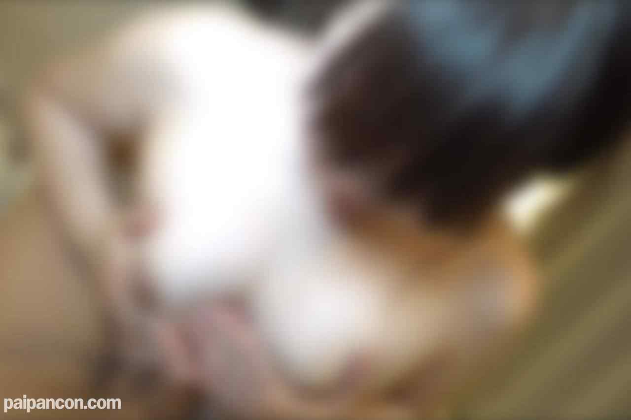 FC2-PPV-4569986 - ※11/17まで50％OFF※【顔出し】【ハメ撮り】【中出し】むちむちわがままボディの人妻はだいたいドエロ淫乱な件。じゅぽフェラ・パイズリ・潮吹き・惜しみなく聞かせてくれる喘ぎ声。とても楽しませてくれ thumbnail_5.jpg