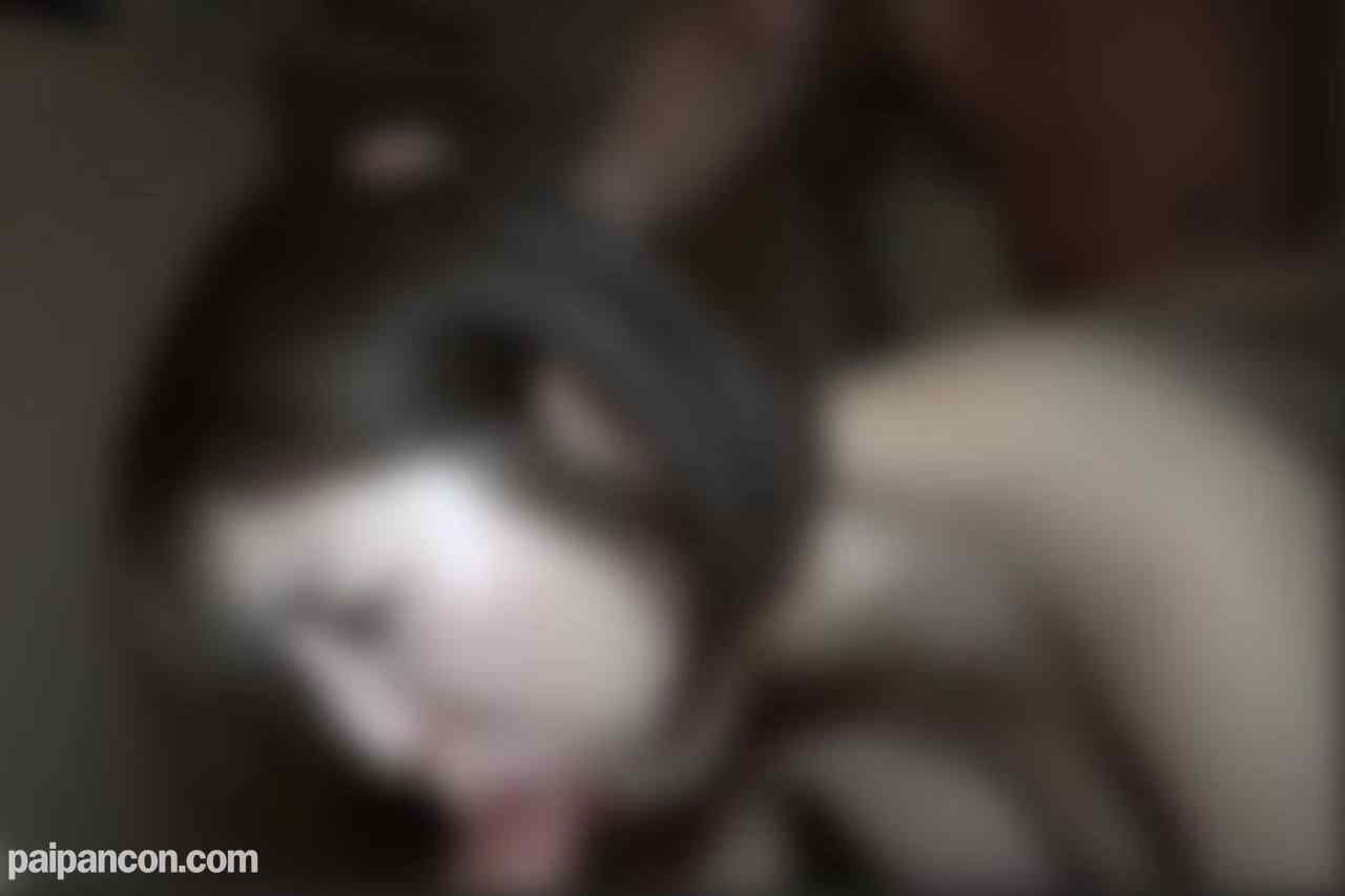 FC2-PPV-4663603 - ※10日まで初回75％OFF※【顔出し】【3ｐ】【中出し】本・気でイ/ヤがるむっちり人妻の苦/痛に満ちた表情を是非ご覧ください。 thumbnail_2.jpg