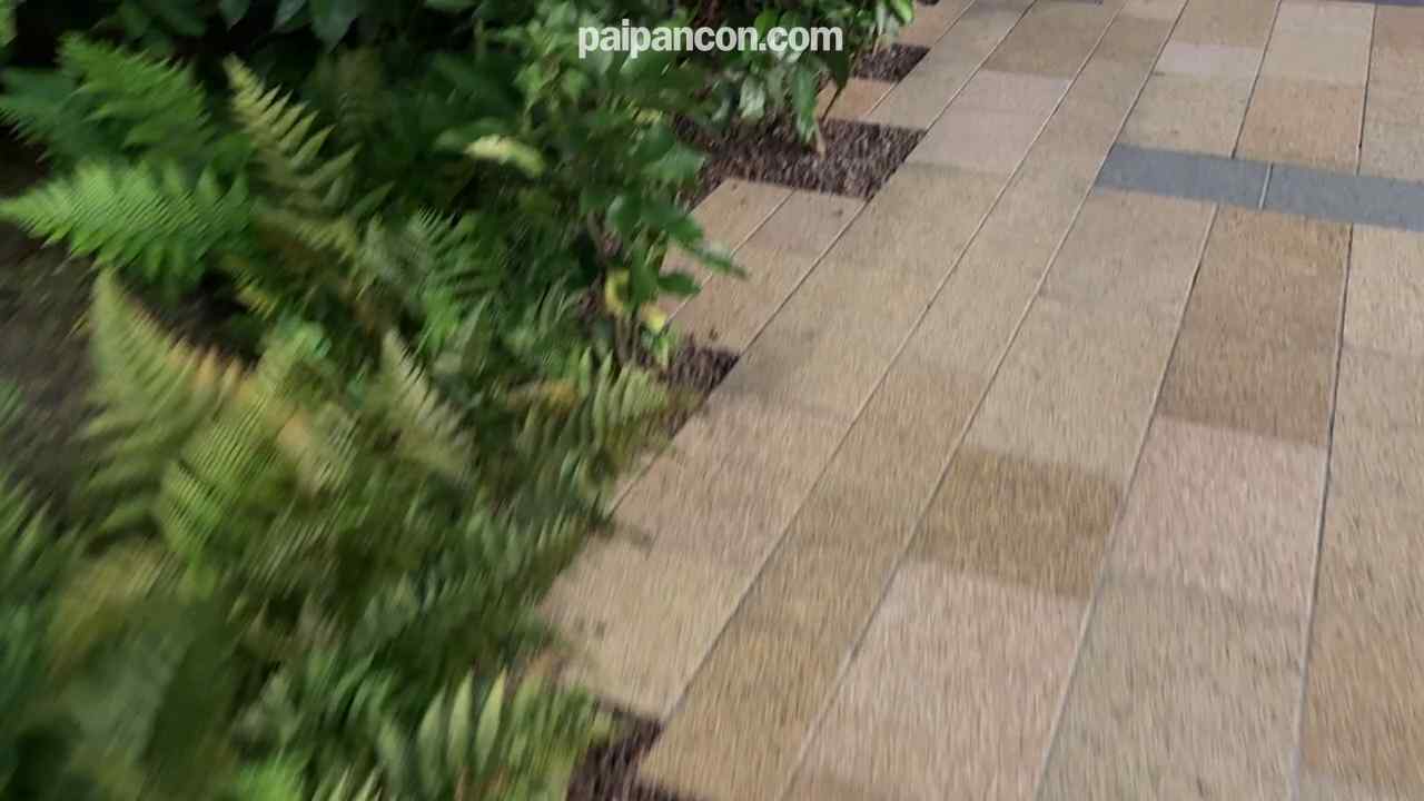 FC2-PPV-4783770 - 【新人研修】ブラジリアンワックスモニターで射精してきましたw【CFNM】 thumbnail_1.jpg