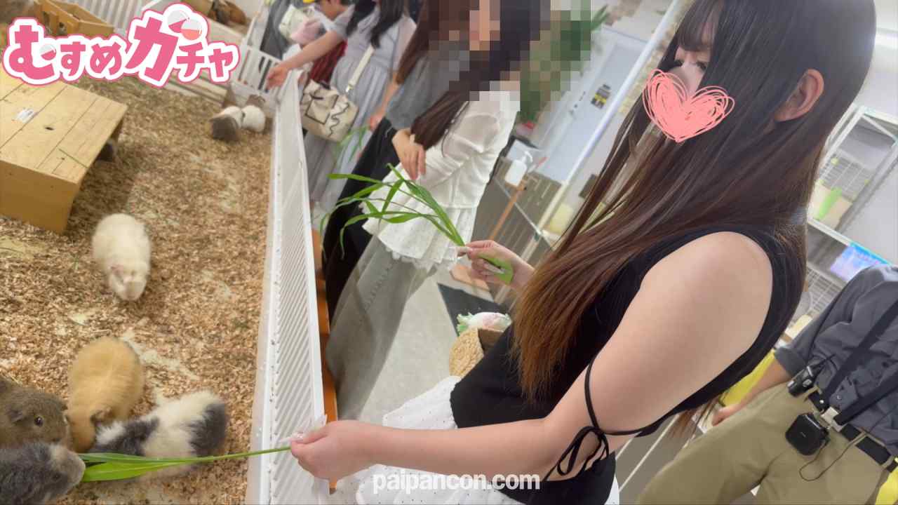 FC2-PPV-4968537 - 【14日間限定セール】アイドルフェイスFカップ19歳メンエス嬢と小動物園デートで生ハメ交尾♡興奮しすぎて気づかれないようトイレでフェラも… 【無修正・中出し】 thumbnail_1.jpg